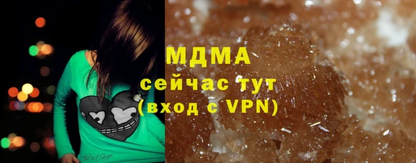 прущие грибы Белокуриха