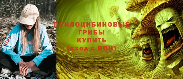 МДПВ Новодвинск