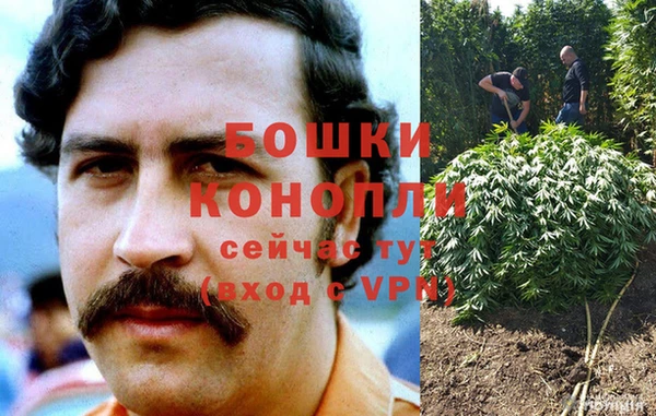 эйфоретик Новозыбков