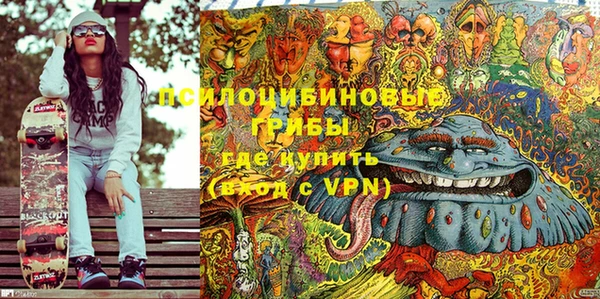 бошки Богородицк