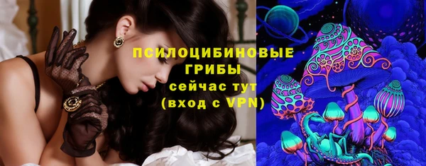 МДПВ Новодвинск