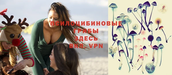 эйфоретик Новозыбков