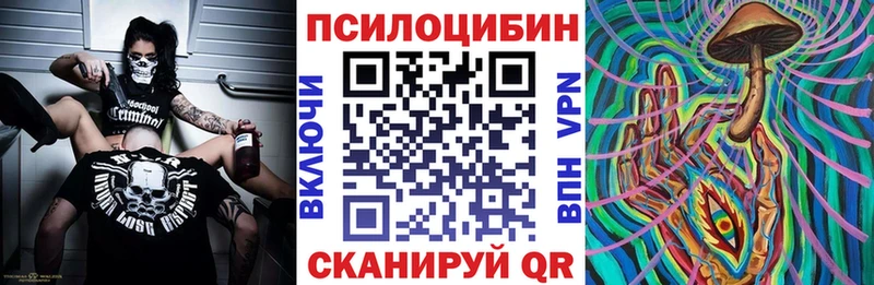 Псилоцибиновые грибы Psilocybine cubensis  Нахабино 